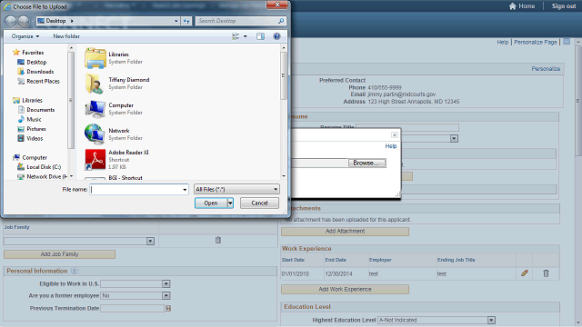 Screen image of this step