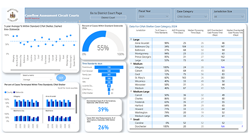 image of the data dashboard