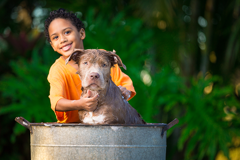 child washing a dog outside